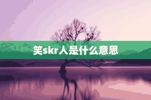 笑skr人是什么意思(笑skr人是什么意思网络用语)